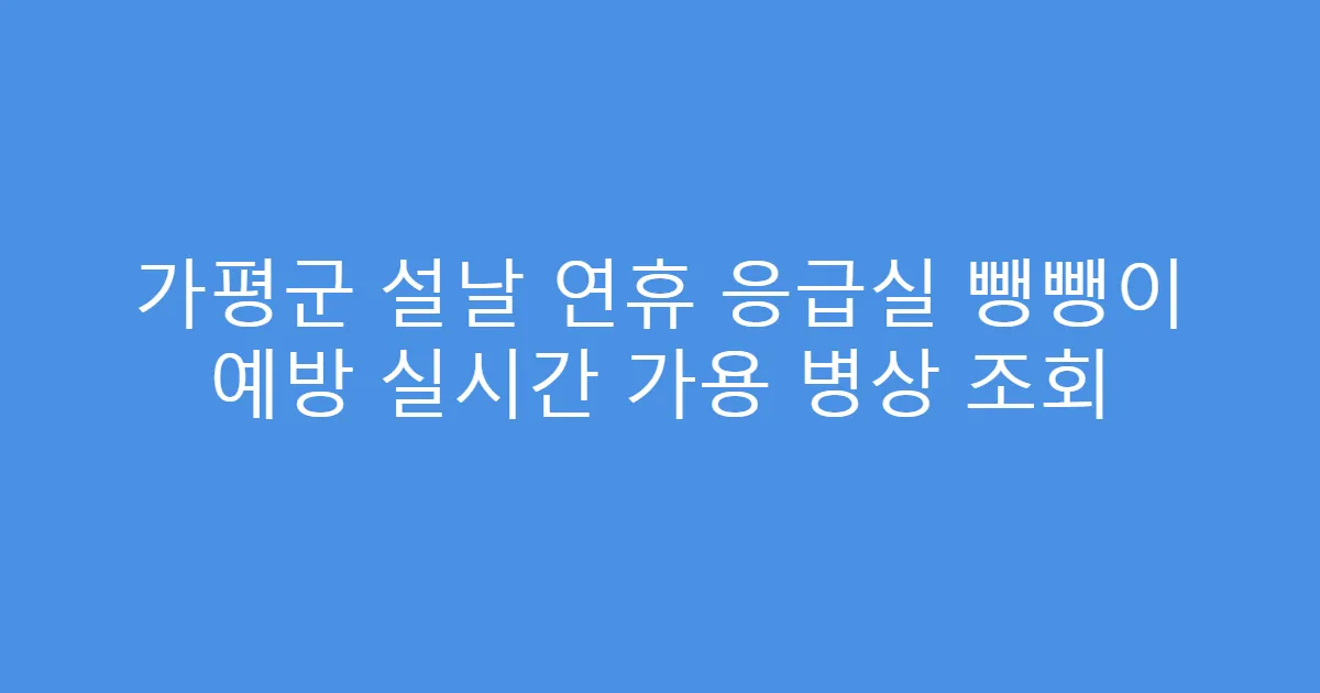 가평군 설날 연휴 응급실 뺑뺑이 예방 실시간 가용 병상 조회