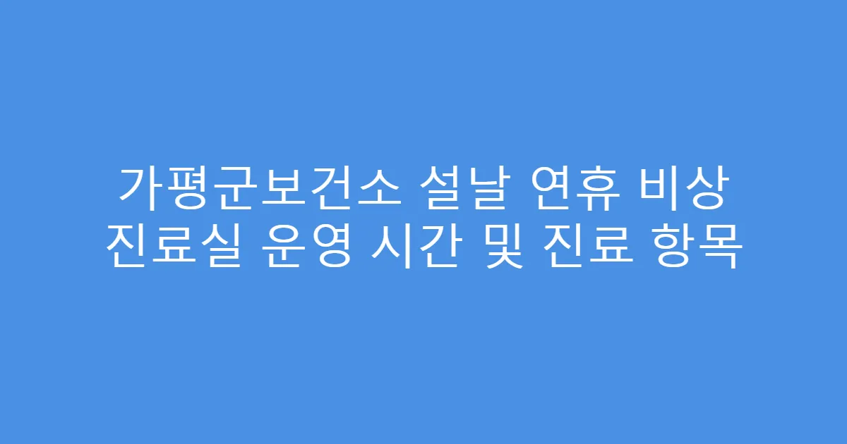 가평군보건소 설날 연휴 비상 진료실 운영 시간 및 진료 항목