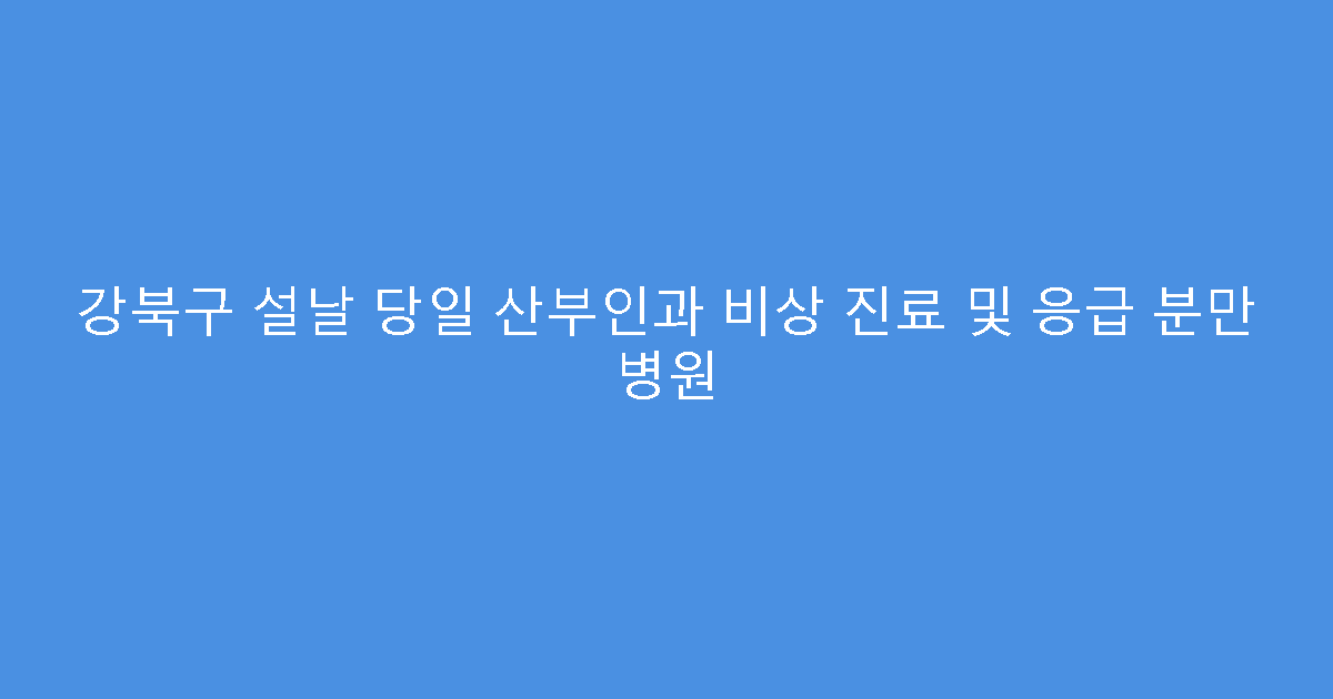 강북구 설날 당일 산부인과 비상 진료 및 응급 분만 병원