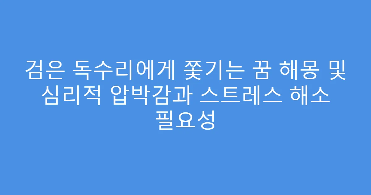 검은 독수리에게 쫓기는 꿈 해몽 및 심리적 압박감과 스트레스 해소 필요성