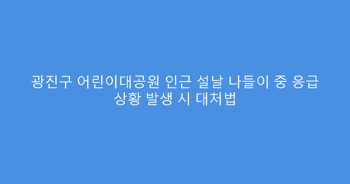 광진구 어린이대공원 인근 설날 나들이 중 응급 상황 발생 시 대처법