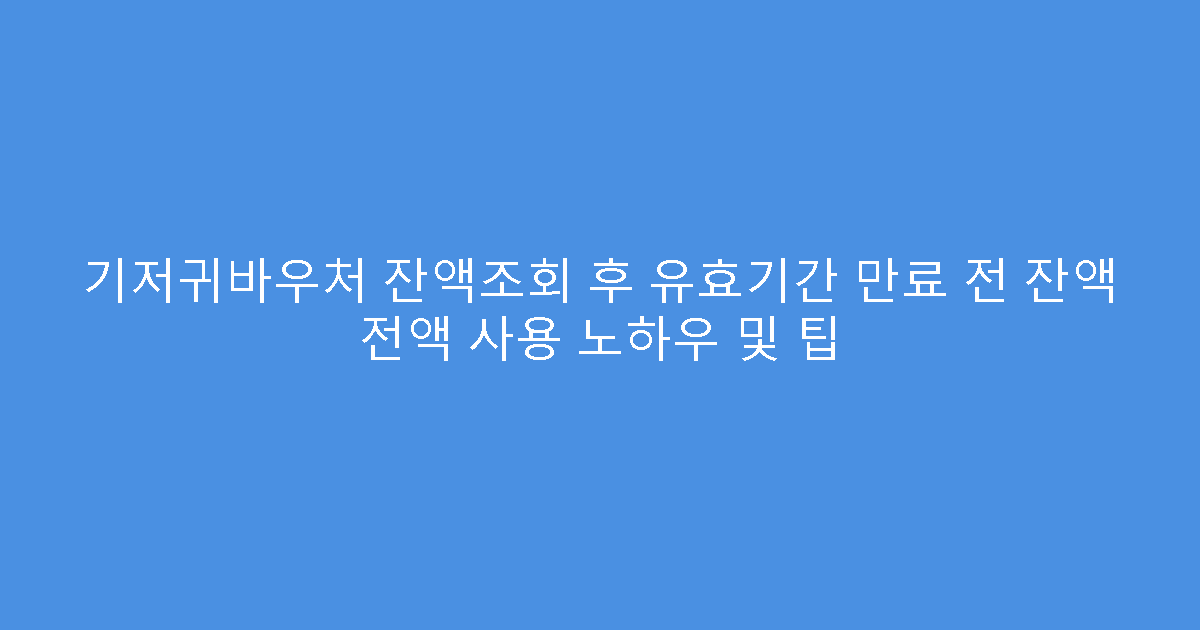기저귀바우처 잔액조회 후 유효기간 만료 전 잔액 전액 사용 노하우 및 팁