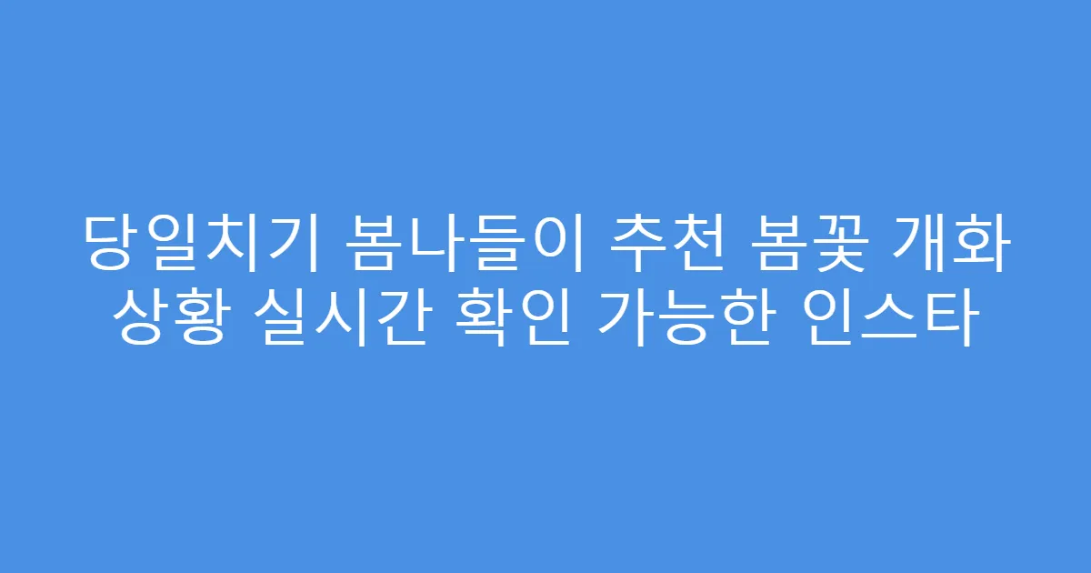 당일치기 봄나들이 추천 봄꽃 개화 상황 실시간 확인 가능한 인스타