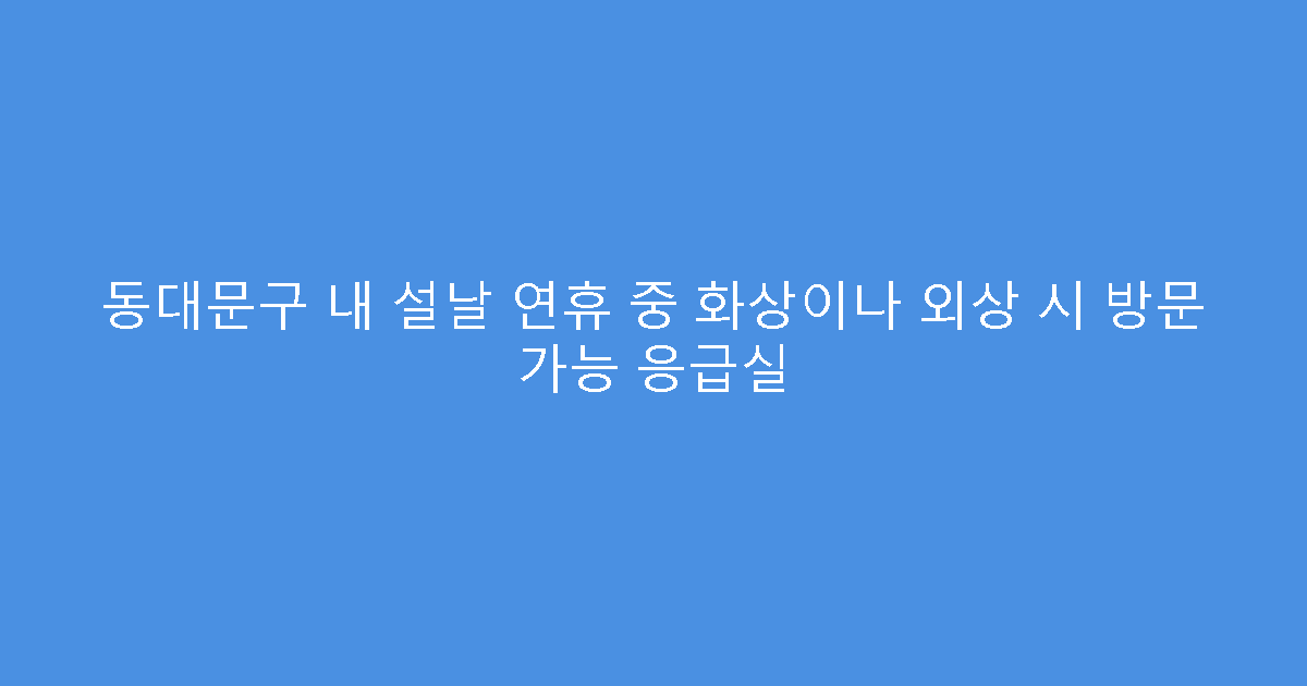 동대문구 내 설날 연휴 중 화상이나 외상 시 방문 가능 응급실