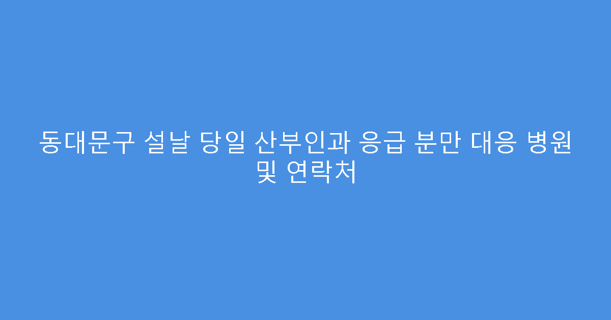 동대문구 설날 당일 산부인과 응급 분만 대응 병원 및 연락처