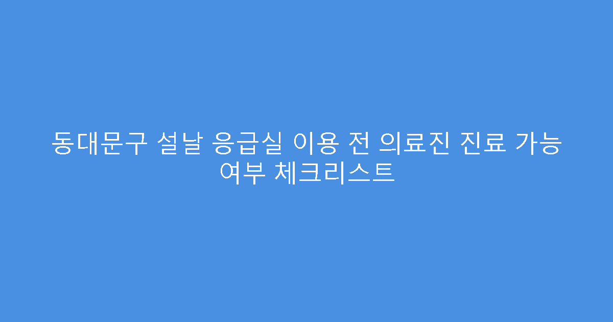 동대문구 설날 응급실 이용 전 의료진 진료 가능 여부 체크리스트