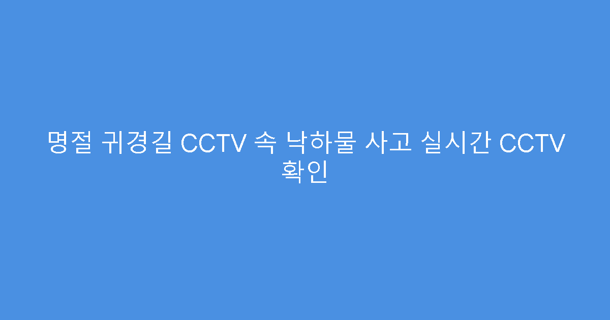 명절 귀경길 CCTV 속 낙하물 사고 실시간 CCTV 확인
