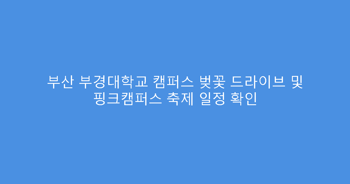 부산 부경대학교 캠퍼스 벚꽃 드라이브 및 핑크캠퍼스 축제 일정 확인