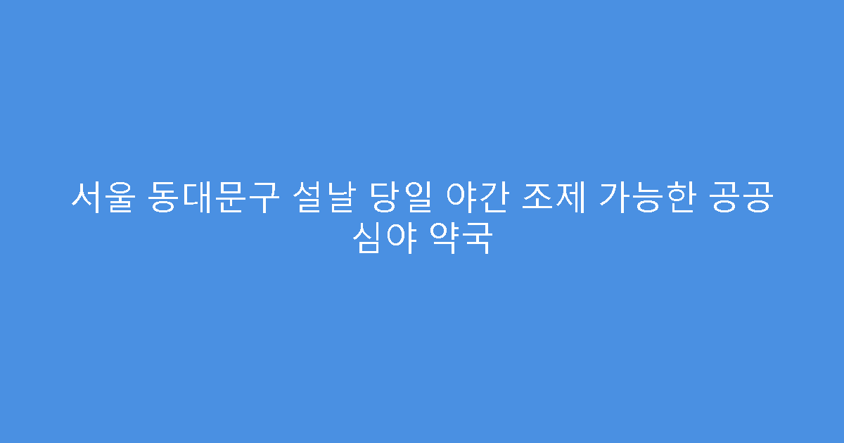 서울 동대문구 설날 당일 야간 조제 가능한 공공 심야 약국