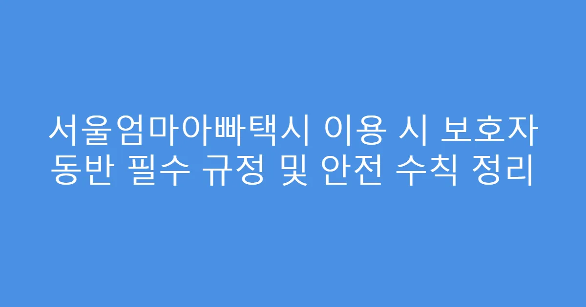 서울엄마아빠택시 이용 시 보호자 동반 필수 규정 및 안전 수칙 정리