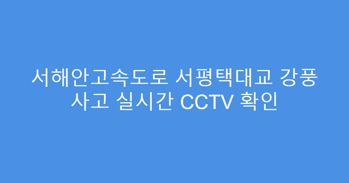 서해안고속도로 서평택대교 강풍 사고 실시간 CCTV 확인