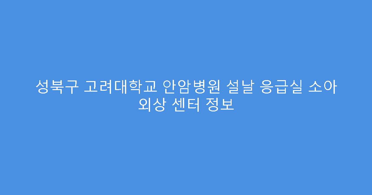 성북구 고려대학교 안암병원 설날 응급실 소아 외상 센터 정보