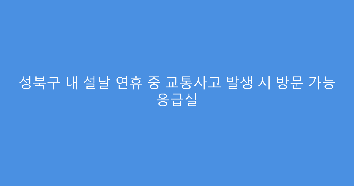 성북구 내 설날 연휴 중 교통사고 발생 시 방문 가능 응급실