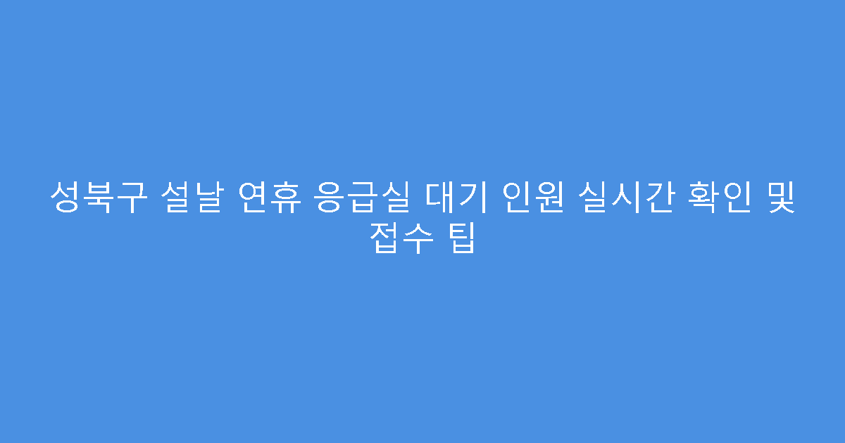 성북구 설날 연휴 응급실 대기 인원 실시간 확인 및 접수 팁