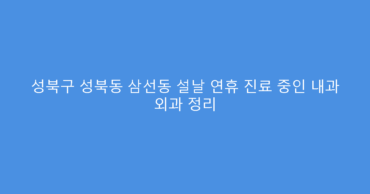 성북구 성북동 삼선동 설날 연휴 진료 중인 내과 외과 정리