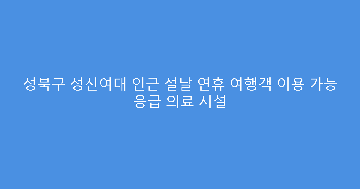 성북구 성신여대 인근 설날 연휴 여행객 이용 가능 응급 의료 시설