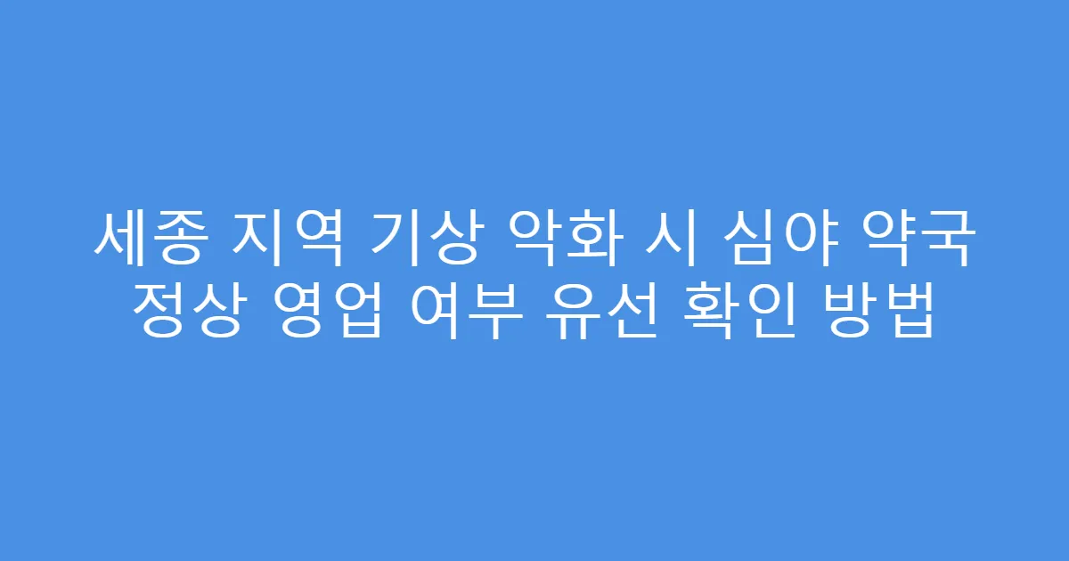 세종 지역 기상 악화 시 심야 약국 정상 영업 여부 유선 확인 방법