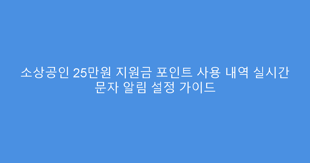 소상공인 25만원 지원금 포인트 사용 내역 실시간 문자 알림 설정 가이드