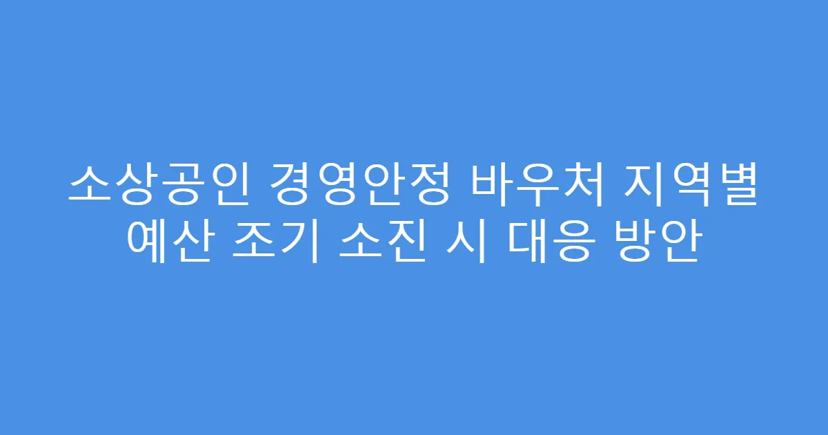 소상공인 경영안정 바우처 지역별 예산 조기 소진 시 대응 방안