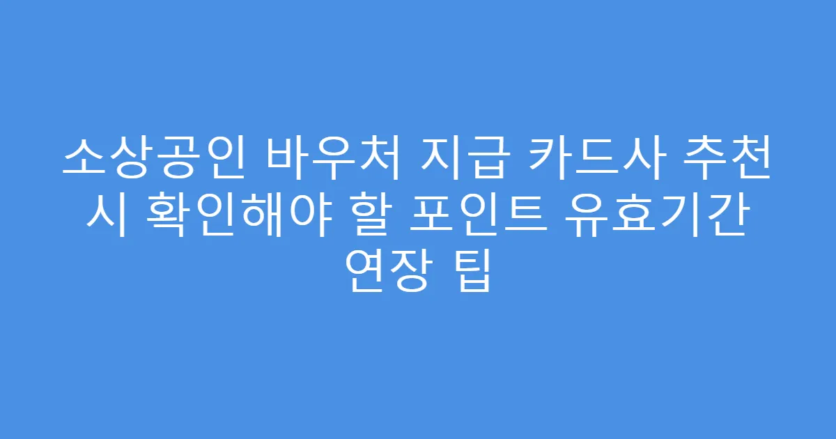 소상공인 바우처 지급 카드사 추천 시 확인해야 할 포인트 유효기간 연장 팁