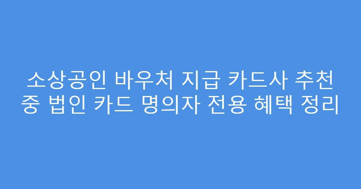 소상공인 바우처 지급 카드사 추천 중 법인 카드 명의자 전용 혜택 정리