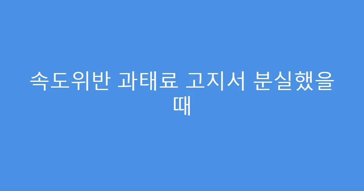 속도위반 과태료 고지서 분실했을 때