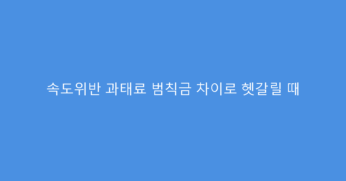 속도위반 과태료 범칙금 차이로 헷갈릴 때
