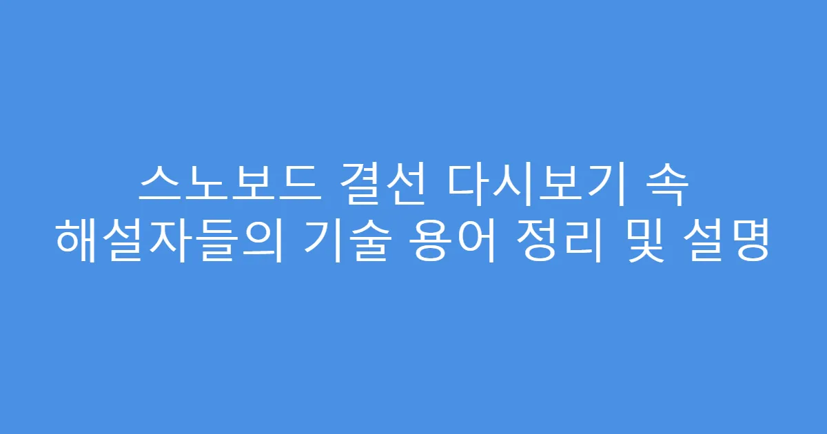 스노보드 결선 다시보기 속 해설자들의 기술 용어 정리 및 설명