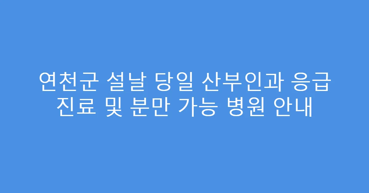연천군 설날 당일 산부인과 응급 진료 및 분만 가능 병원 안내