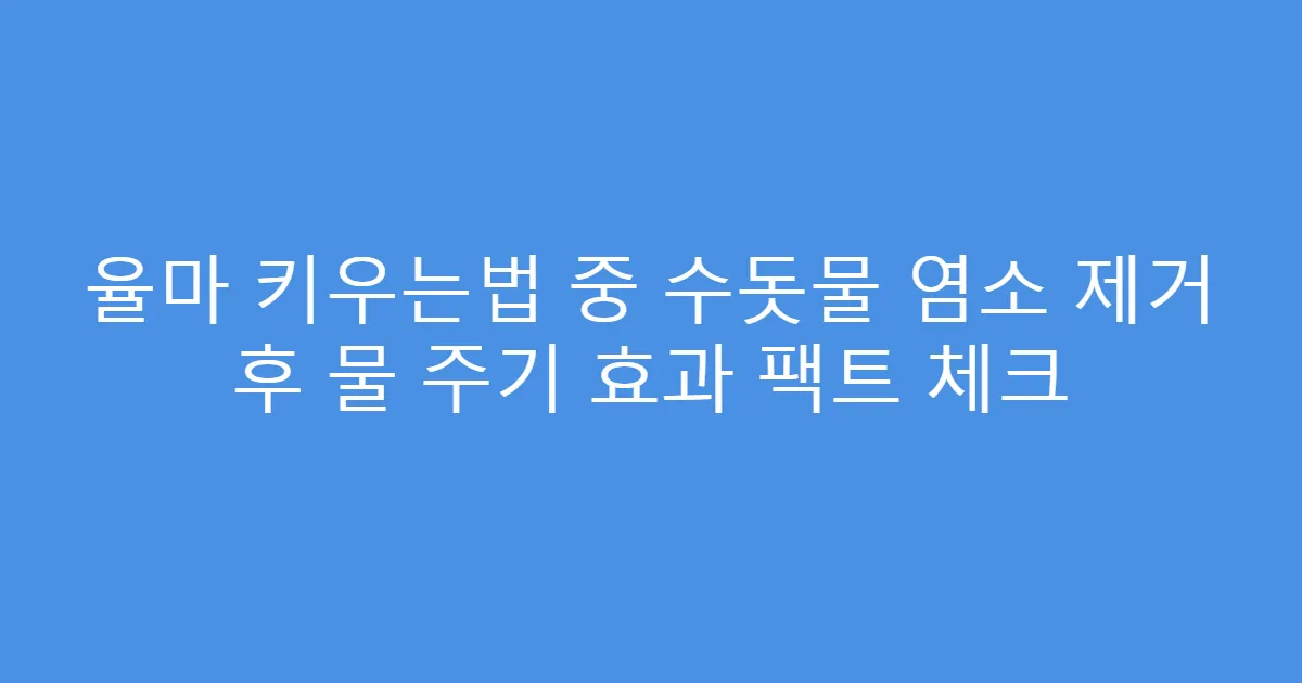 율마 키우는법 중 수돗물 염소 제거 후 물 주기 효과 팩트 체크