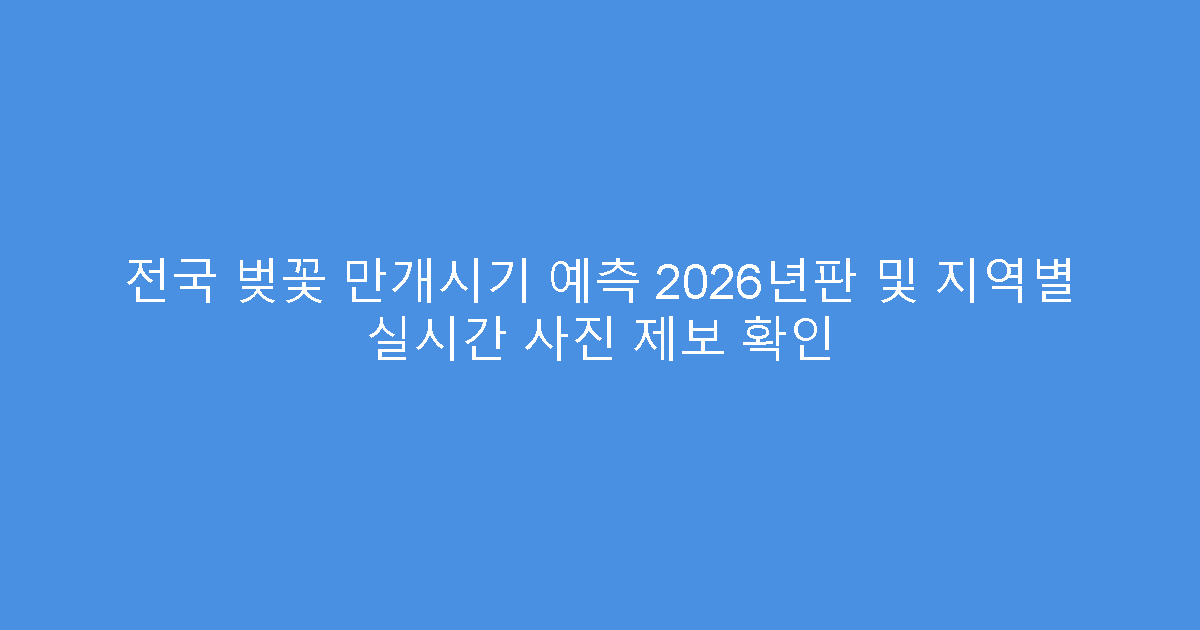 전국 벚꽃 만개시기 예측 2026년판 및 지역별 실시간 사진 제보 확인