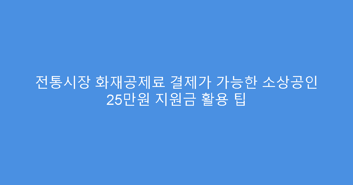 전통시장 화재공제료 결제가 가능한 소상공인 25만원 지원금 활용 팁