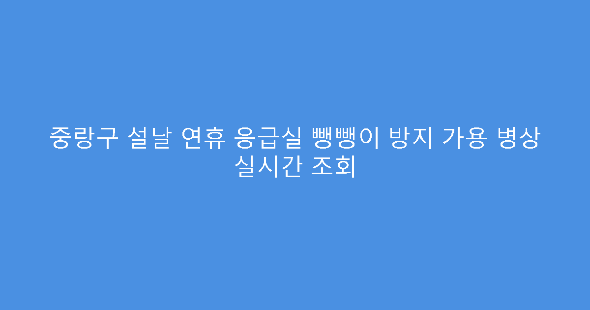 중랑구 설날 연휴 응급실 뺑뺑이 방지 가용 병상 실시간 조회