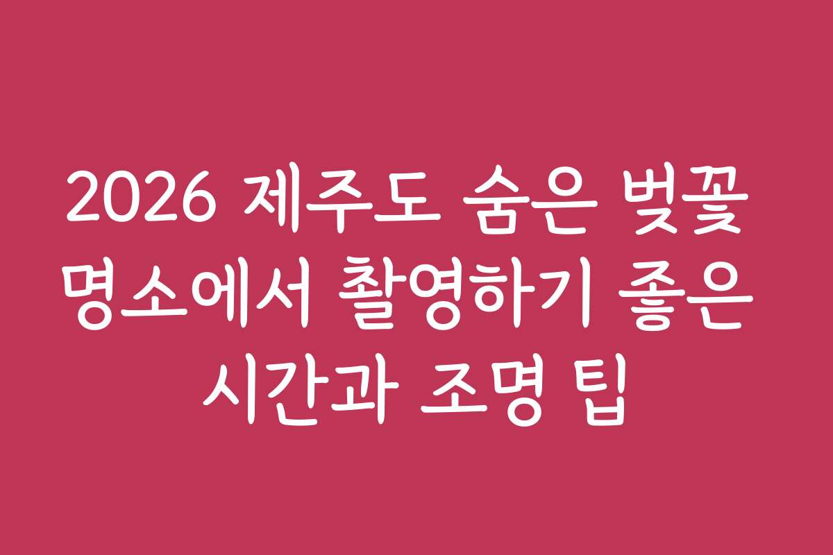2026 제주도 숨은 벚꽃 명소에서 촬영하기 좋은 시간과 조명 팁
