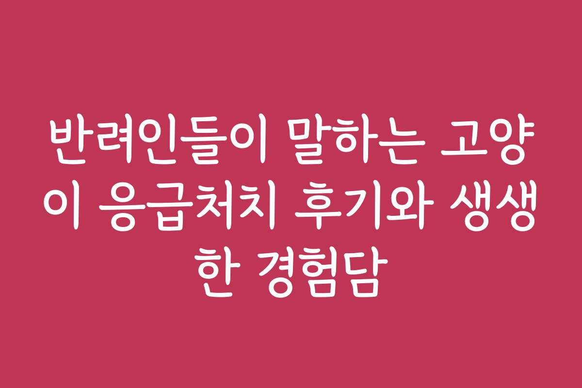 반려인들이 말하는 고양이 응급처치 후기와 생생한 경험담