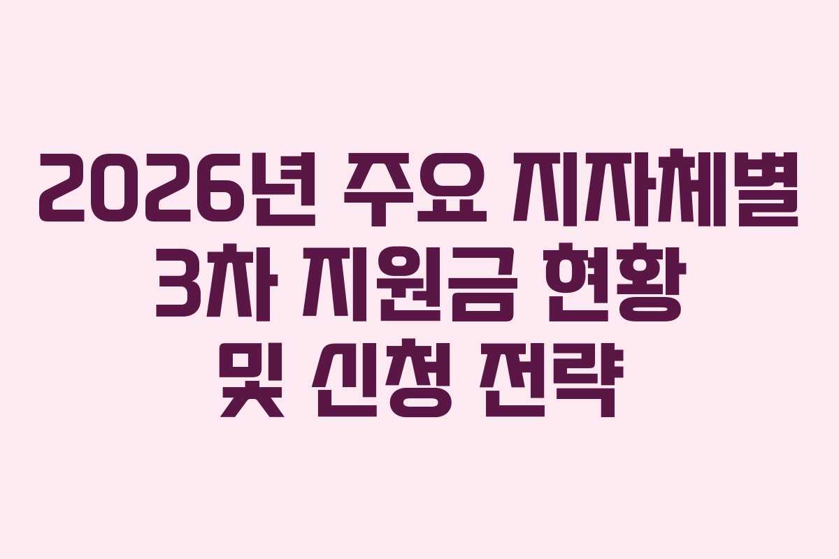 2026년 주요 지자체별 3차 지원금 현황 및 신청 전략