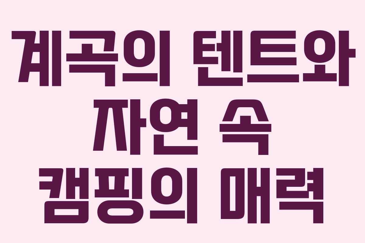 계곡의 텐트와 자연 속 캠핑의 매력