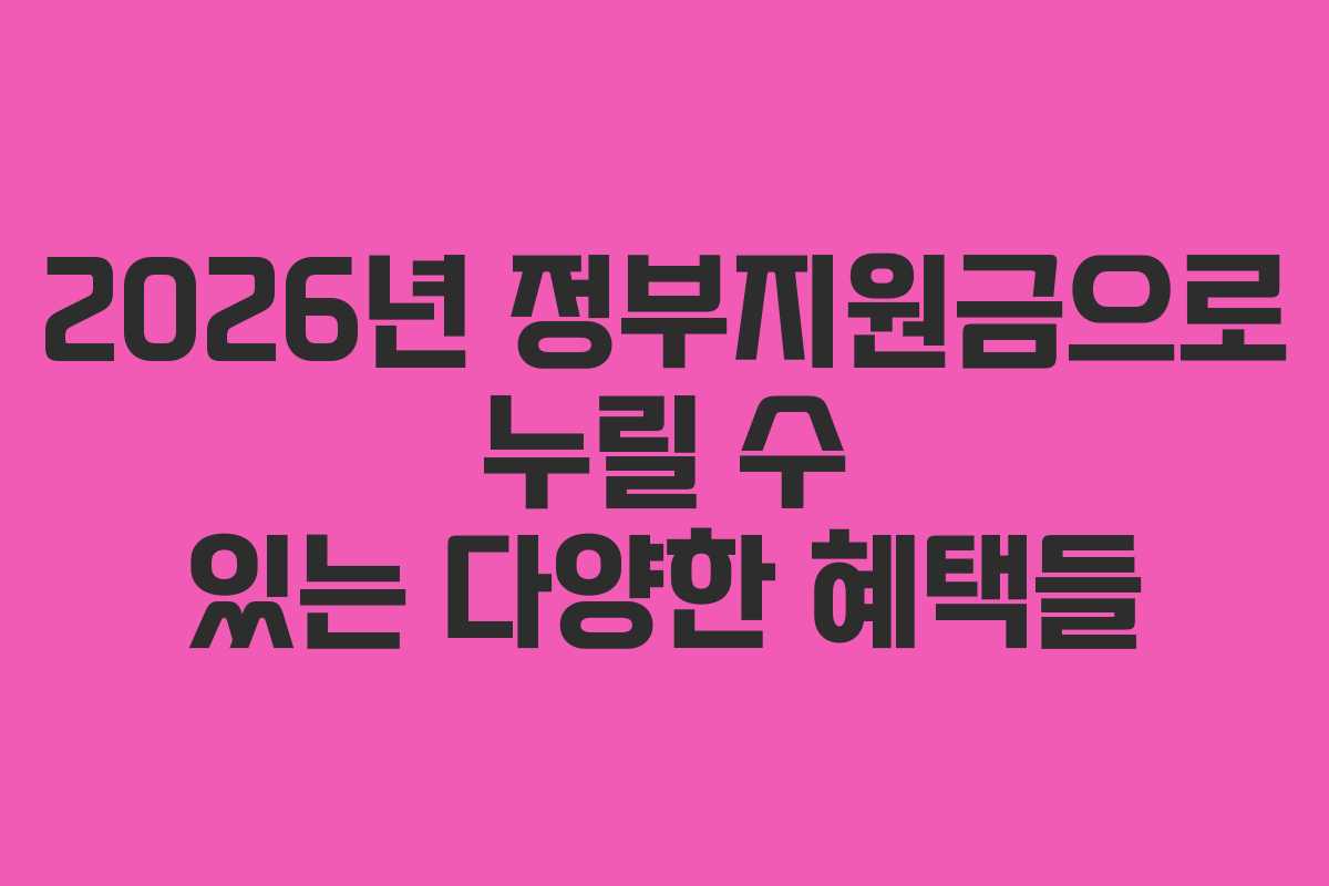 2026년 정부지원금으로 누릴 수 있는 다양한 혜택들