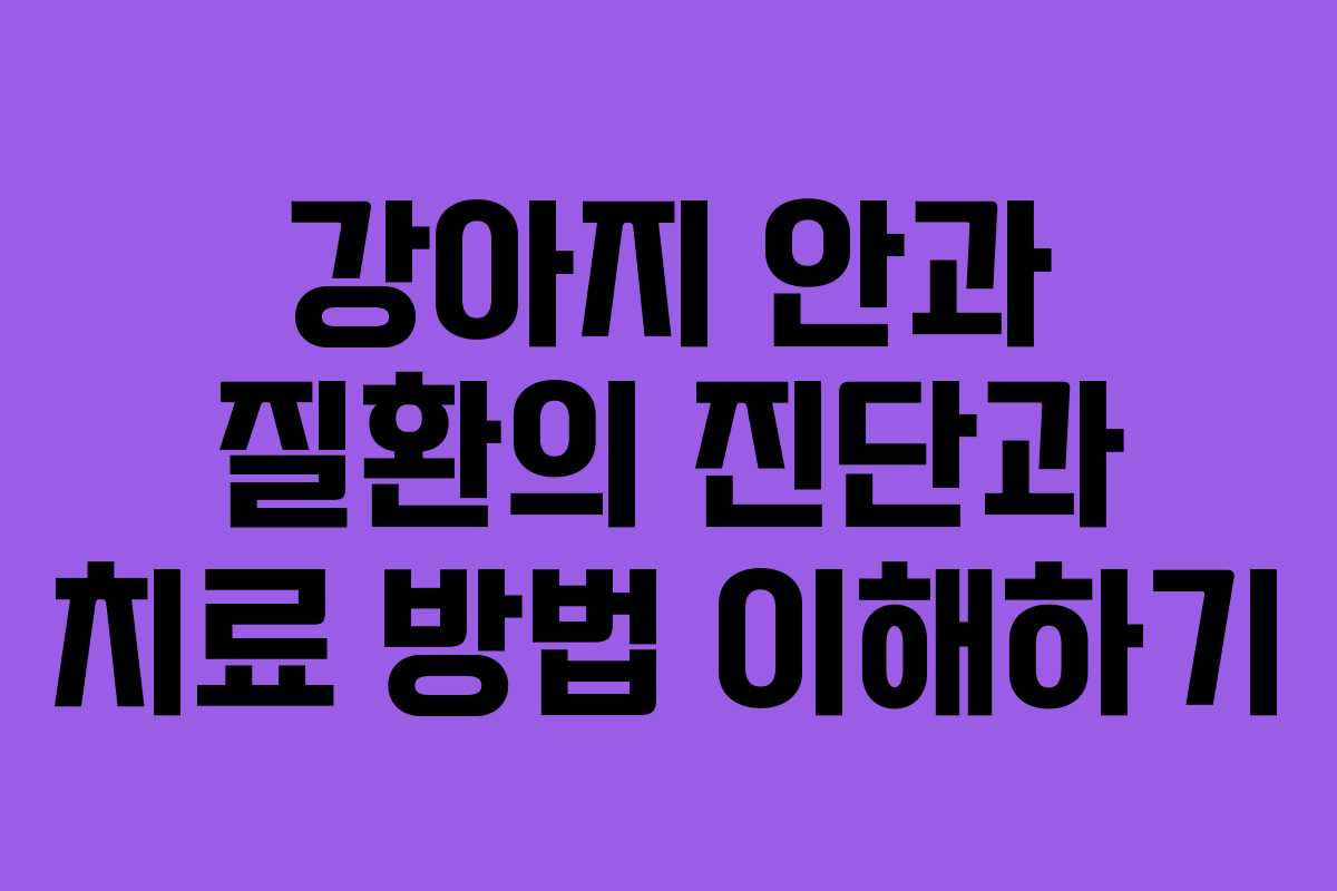 강아지 안과 질환의 진단과 치료 방법 이해하기