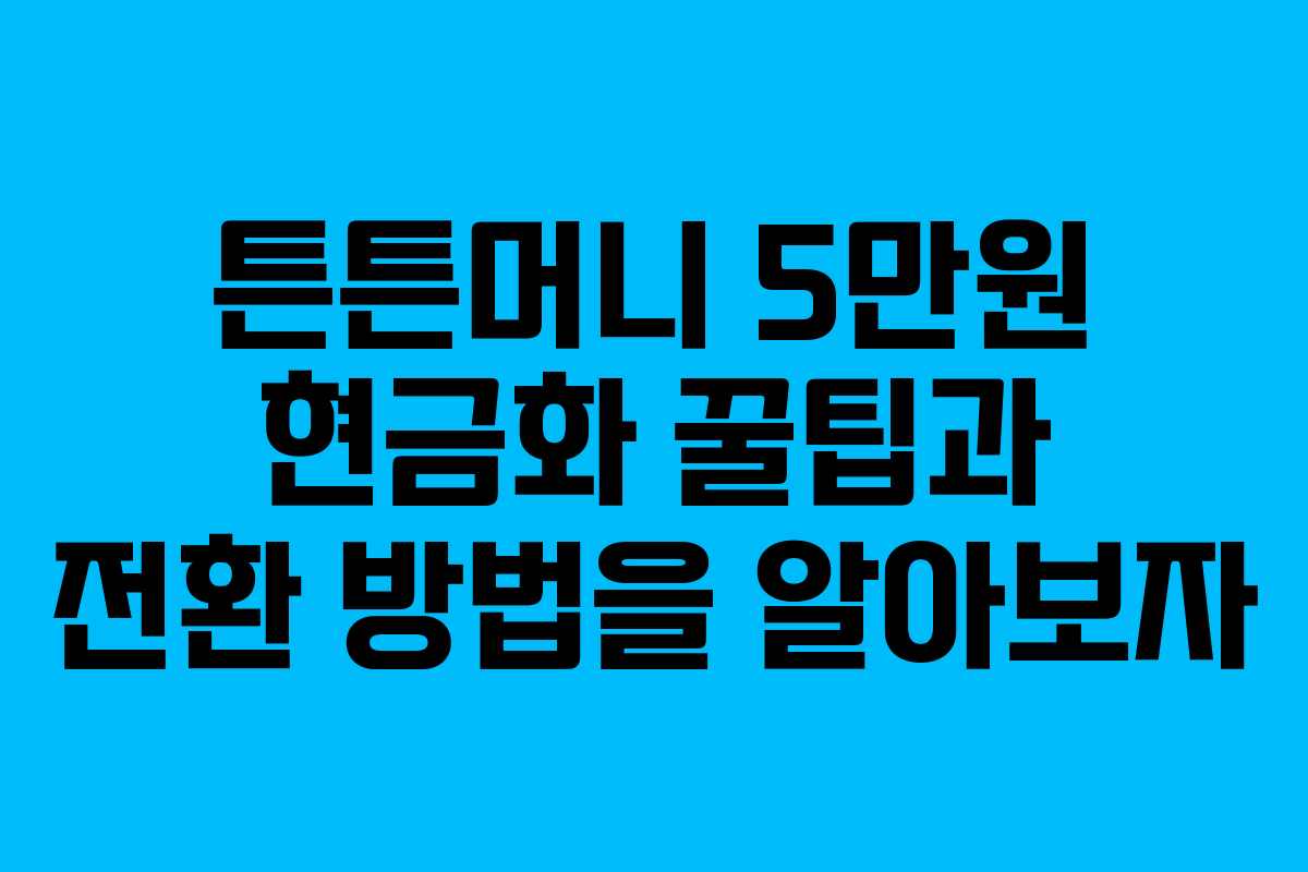 튼튼머니 5만원 현금화 꿀팁과 전환 방법을 알아보자