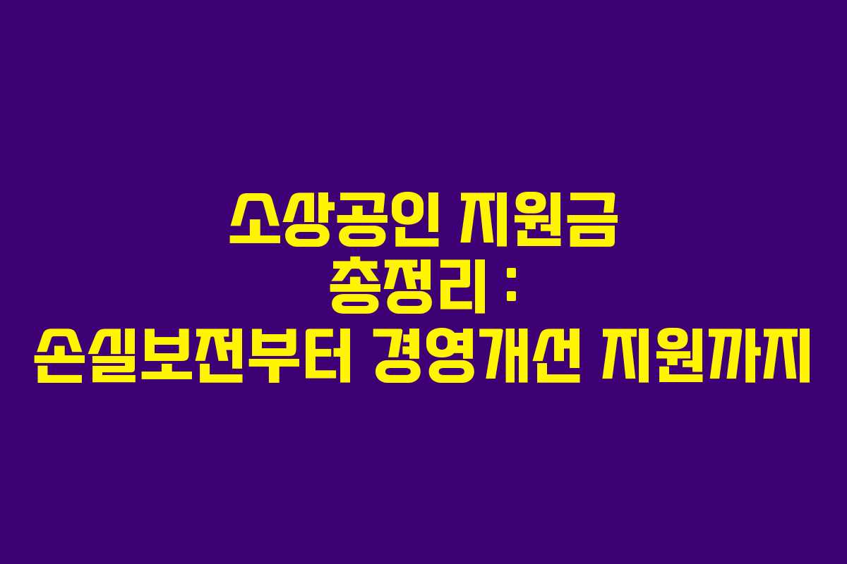 소상공인 지원금 총정리 : 손실보전부터 경영개선 지원까지