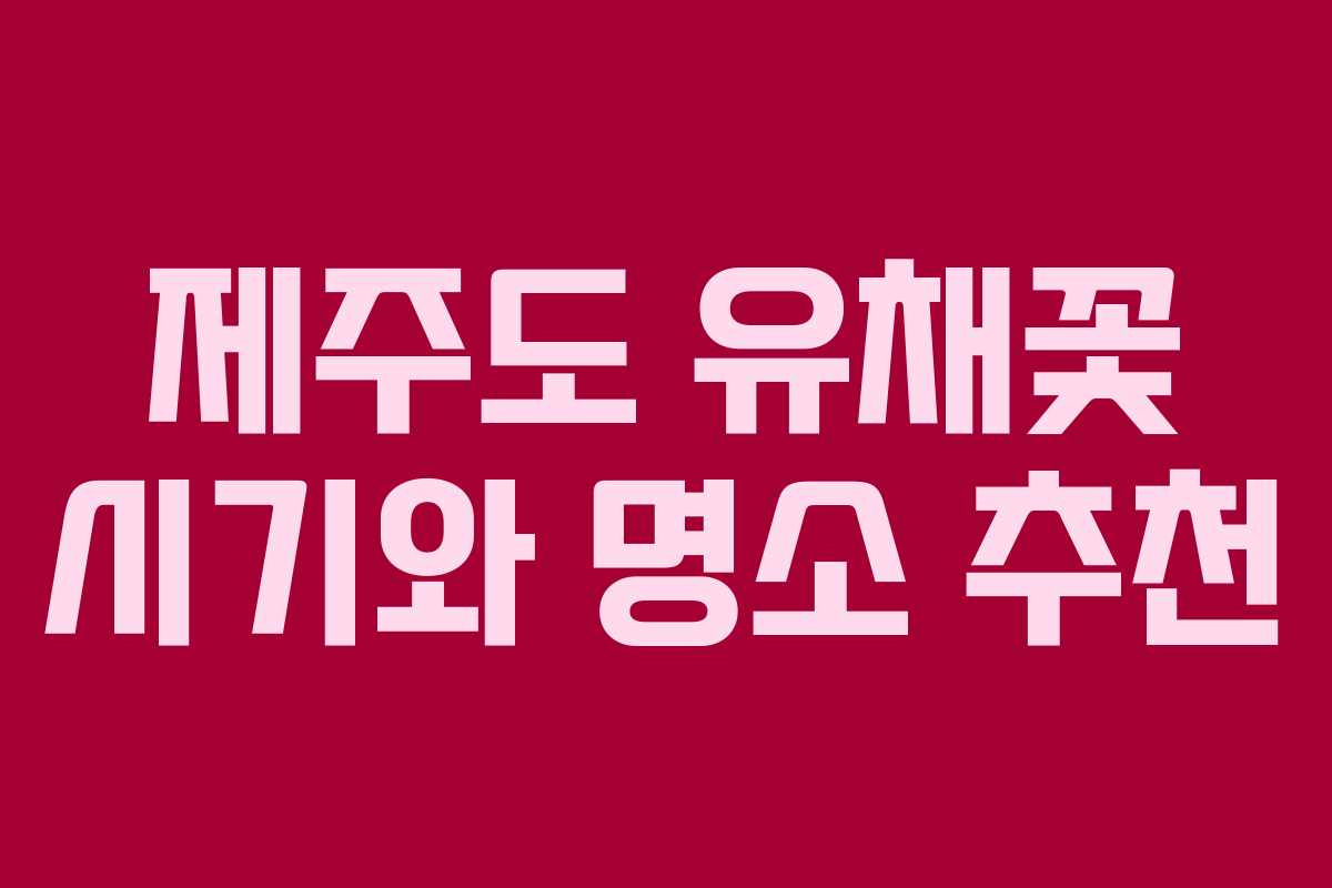 제주도 유채꽃 시기와 명소 추천
