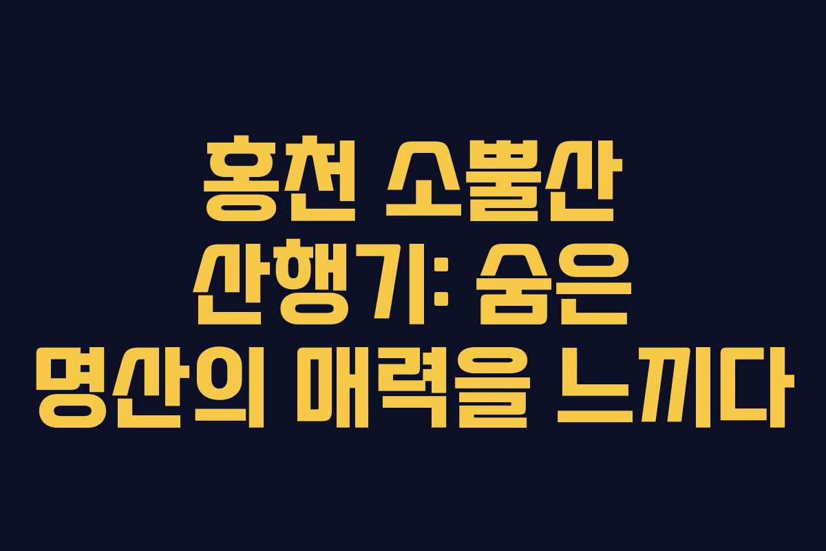 홍천 소뿔산 산행기: 숨은 명산의 매력을 느끼다