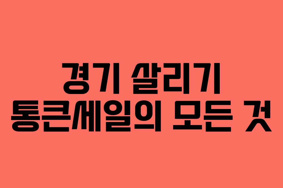경기 살리기 통큰세일의 모든 것 경기 살리기 통큰세일의 모든 것