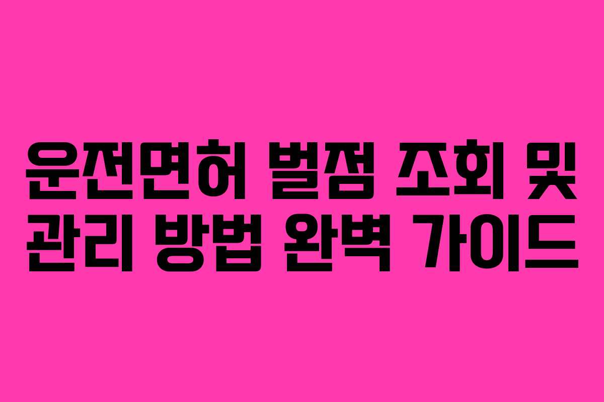 운전면허 벌점 조회 및 관리 방법 완벽 가이드