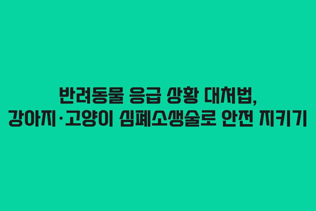 반려동물 응급 상황 대처법, 강아지&middot;고양이 심폐소생술로 안전 지키기
