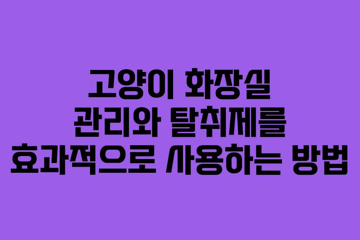 고양이 화장실 관리와 탈취제를 효과적으로 사용하는 방법