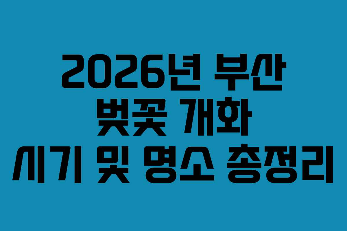2026년 부산 벚꽃 개화 시기 및 명소 총정리