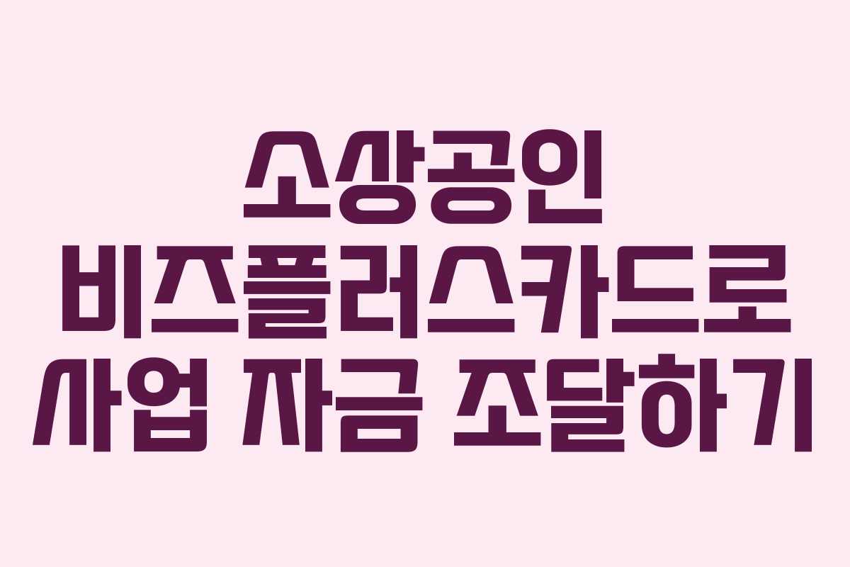 소상공인 비즈플러스카드로 사업 자금 조달하기