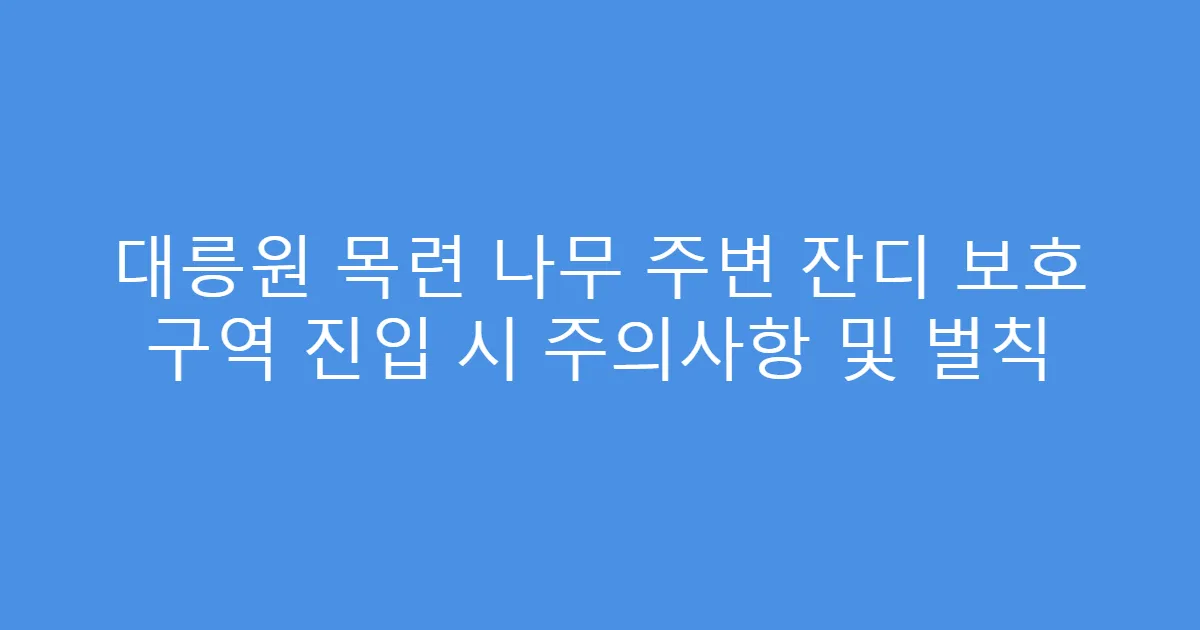 대릉원 목련 나무 주변 잔디 보호 구역 진입 시 주의사항 및 벌칙